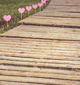 high angle view of plants on wood